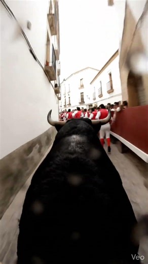 POV: TRAMPLED by a Bull! (Running of the Bulls Gone Wrong) #Pamplona #BullRun #POV #CloseCall #Chaos