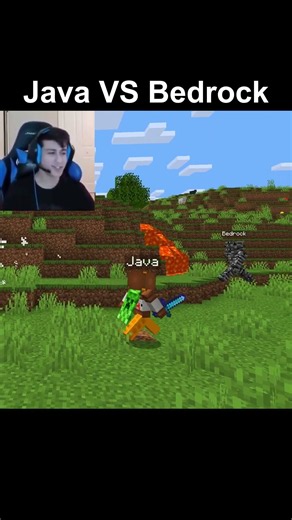 Java vs Bedrock skeleton!