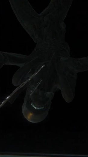 AND I THOUGHT I WAS BEEING QUIET! #alien #alienisolation #gaming #horror #horrorgame #jumpscare