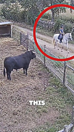 This horse shows the cow some Unexpected Love! 🐴💕 #cow