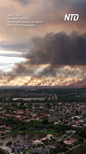 Wildfire Burns More Than 11,000 Acres in Florida Everglades