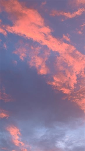 Loggy on Instagram: "Very epic year :) so grateful for everything and stoked for what is to come!!! 💕"