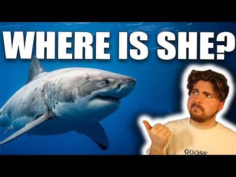 Will 'Deep Blue' Ever Be Seen Again?