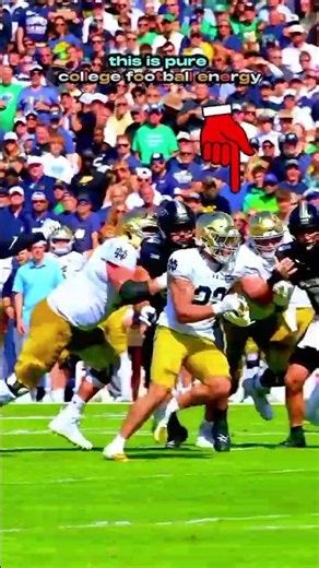 He jumped out of his shoes after that play #nfl #CollegeFootball #NotreDame #Purdue