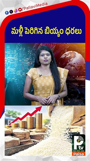 మళ్లీ పెరిగిన బియ్యం ధరలు | Rice Prices in India | PTV Paisa