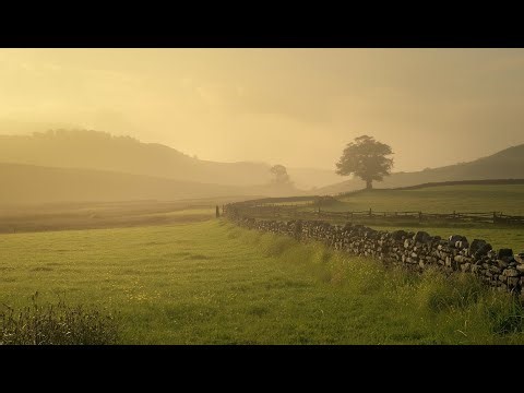 Relaxing Celtic Music: Across the Highlands to Forever | Soothing Fantasy Medieval Melodies