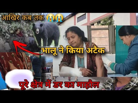 भालू ने किया घास काट रही महिला पे बुरी तरह हामला 😢|| Bear Attack in Ukhimath Rudraprayag 