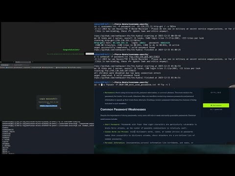 Login Brute Force Attacks Explained | Hack The Box Module