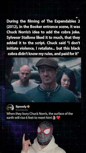 During the filming of The Expendables 2 (2012), Chuck Norris fought the cobra