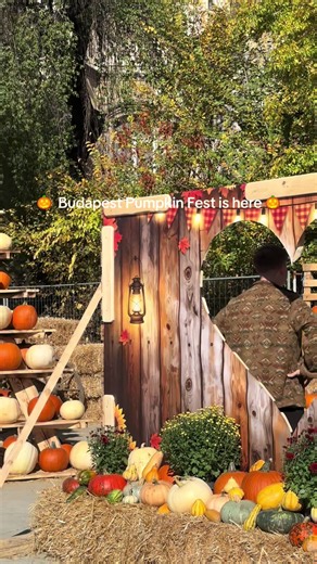 Budapest Pumpkin Fest: Your Cozy Weekend Plan in Városliget 🎃