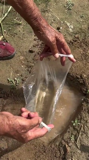 Grandma's little trick: if the key falls into water, you can use this method – it works well.