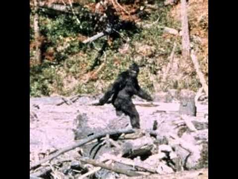 Rob McConnell Interviews - MICHAEL TOWNSEND - Scientific Proof of Bigfoot Discovered