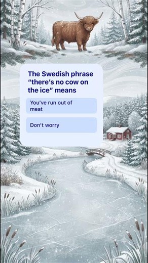 45. Swedish Quiz - use YouTube app to answer