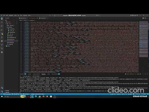 Automated Web Scraping with Scrapy + Playwright (BidNetDirect Search & Data Extraction)
