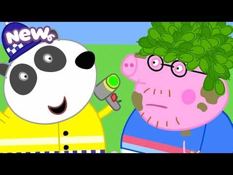 Peppa Pig Tales 🐷Daddy Pig’s Run with the Police! 🚓🏃 BRAND NEW EPISODE Peppa Pig Tales Full Episodes