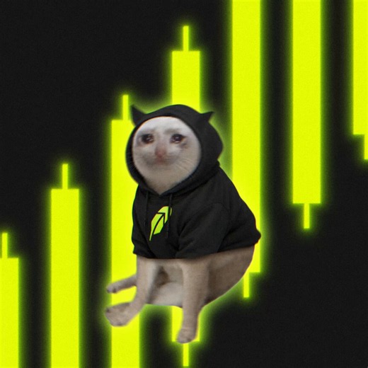 Cash Cat (@cashcat_token) on X
