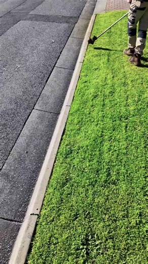Curb lawn edging. Do you edge toward yourself or away? #lawnedging #lawncare #satisfying