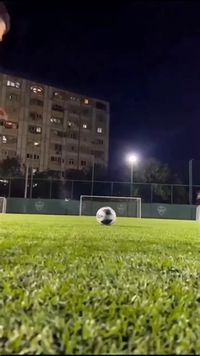 Indonesia’s Giant Python Broke World Records 🐍 #shorts #foryou #fyp