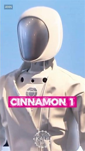 Japan's Latest Humanoid: Cinnamon 1 #humanoidrobot #robotics #airobot #japantechnology