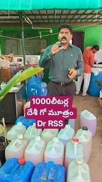 1000 లీటర్ల దేశీ గో మూత్రం - వివిధ గో శాలల నుంచి| Dr RSS Natural Product's