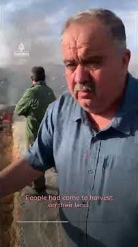 Jerusalem Daily: Israeli settlers burn Palestinian olive groves