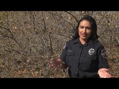 First steps for wildfire mitigation at home from South Metro Fire Rescue