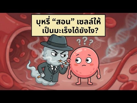 บุหรี่ “สอน” เซลล์ให้เป็นมะเร็งได้ยังไง? | กลไกการฝึกศัตรูที่แยบยลที่สุด