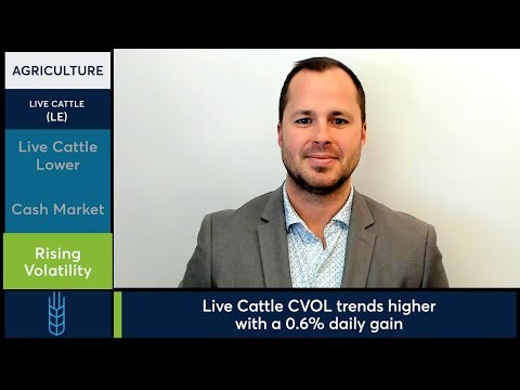 Live Cattle futures fall to 243.52 despite firm boxed beef. 4/21/26