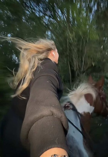 Stunning Horse Running: A Beautiful Equestrian Moment 🫶🏻