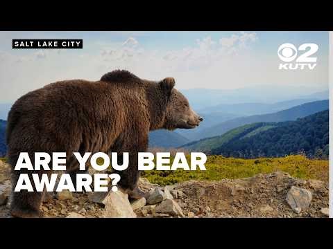 Bear awareness in Utah following Yellowstone attack
