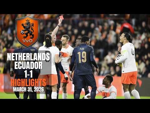 Netherlands vs Ecuador Highlights 🇳🇱🔥 | Red Card Drama & Goals Today