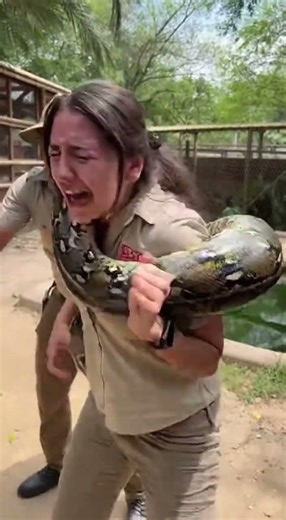 Massive Python Attacks Caretaker 😱 Caught on Camera #shorts