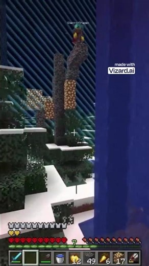 The WEIRDEST Minecraft PvP Fight Ever Recorded! (Electric Dragon vs. Wisp)