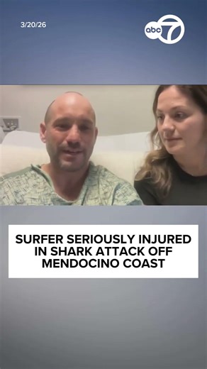 Surfer seriously injured after shark attack off Mendocino coast, officials say