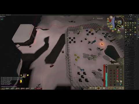 101kc Scorpia run unedited (3.2m loot) - pet hunt