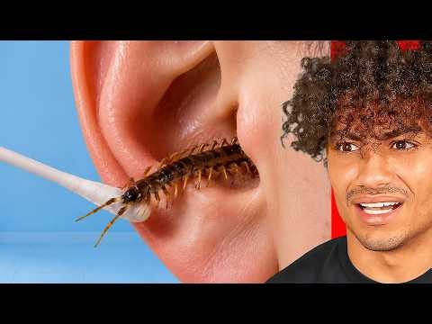 IMPOSSIBLE Try Not To Say NO Challenge!!