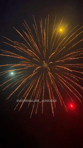 Riakeo display shell 5” inch 125mm Nishiki willow with color dahlia 🎨🔥#fireworks #riakeo