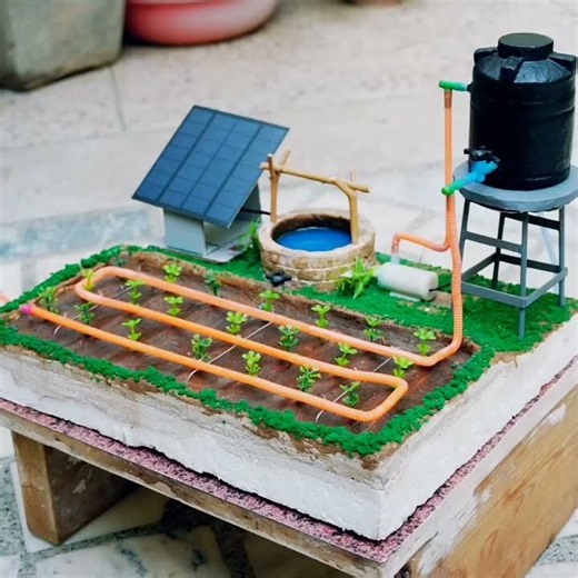 Drip irrigation system,@Learn with us 1