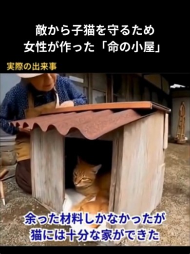 敵に狙われ、怯えていた小さな子猫。 女性は「この子を絶対に守りたい」という思いから、子猫が安心して身を隠せる小さな小屋を作りました。 果たして、この小屋は子猫を守ることができるのか――。 挿入歌 アーティスト名：POODLE HANA 君がそばにいたから何度も言うよ：https://linkco.re/nqRnDTaT #子猫 #猫 #猫動画 #保護猫 #野良猫 #子猫を守る #猫好き #感動する話 #動物動画 #猫のいる暮らし