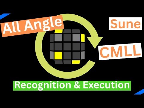 All Angle CMLL Recognition: Sune| Full CMLL Pt. 7