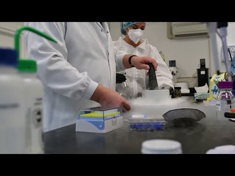 FDA Is Fast-Tracking Three Psychedelic Drugs for Review