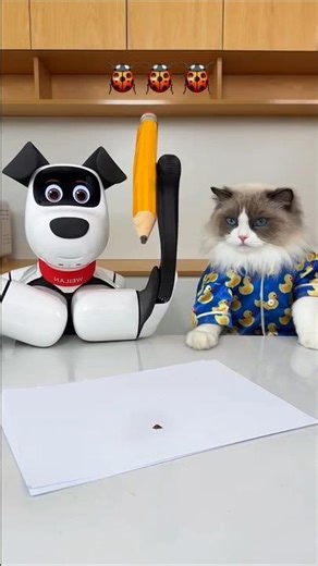 The robot and cat playing 😨| New Viral Gadgets,Smart Appliances, Kitchen Utensils/ Home Inventions