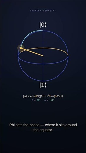 How Physicists Picture a Single Qubit #quantumphysics #stem