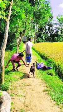 He Thought He Was Pulling a Goat! 🐐😂#funny #prank #village #goat #comedy #viral #shorts #funnyshorts
