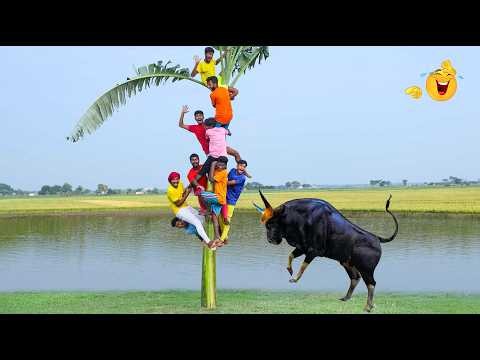 Funniest Fun New Comedy Video 2026 😂 | Amazing Best Funny Video Episode18 | Laugh Comedy TV