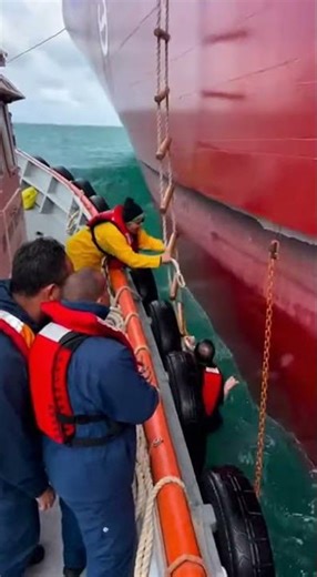 Pilot Ladder Break and Fast Rescue