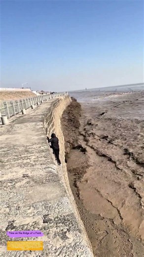 Fleeing the Surge: How a Sudden Tidal Wave Turned a Coastal Walk Into a Survival Dash