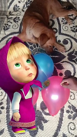 Dog vs Balloons 🎈🐶 | Funny Balloon Challenge 😂 #Shorts