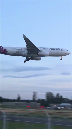 Hawaiian Airlines Airbus A330-200 #aviationshorts #airplane #airbus