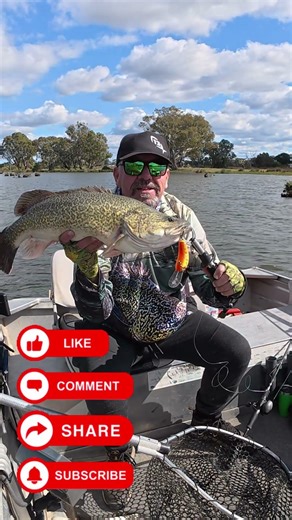 LANDED an ABSOLUTE MONSTER Murray Cod 🐟🔥